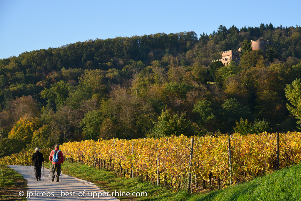 A quelques minutes autour de notre village de La Vancelle, un paradis pour les randonneurs de tous âges, entre vignoble et montagne…